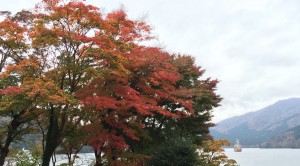 箱根の紅葉 2014